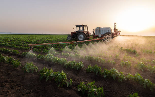 Best Wildlife Control Services  in North El Monte, CA