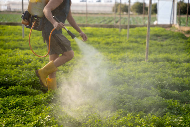 Best Best Pest Control Companies  in North El Monte, CA