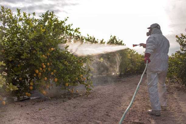 Pest Control for Restaurants in North El Monte, CA
