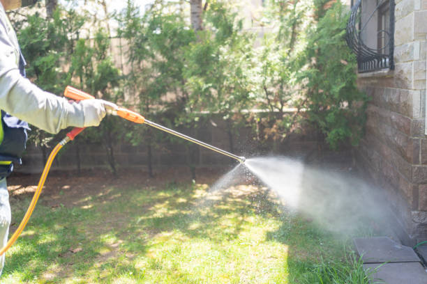 Best Commercial Pest Control Services  in North El Monte, CA
