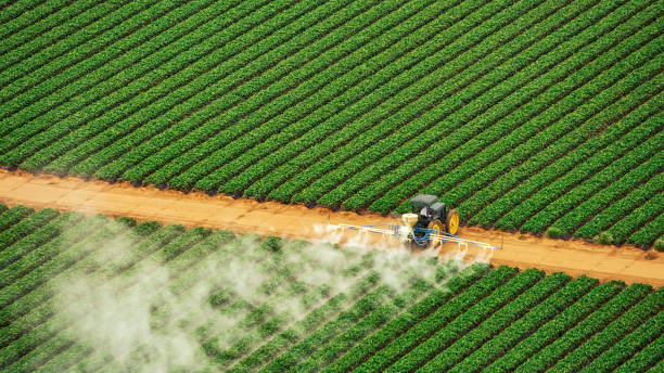 Best Mosquito Control Services  in North El Monte, CA