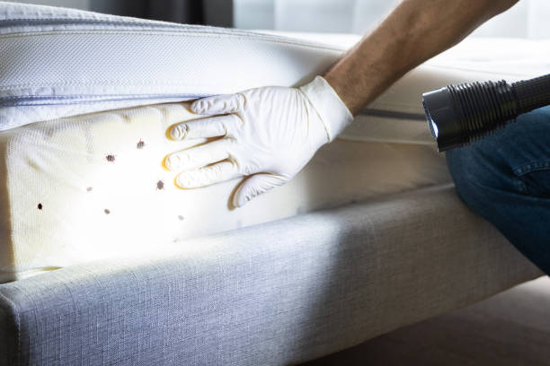 Pest Control Cost in North El Monte, CA