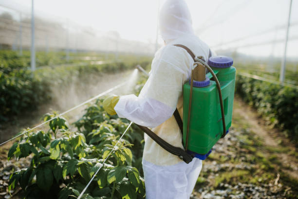 Best Flea Control Services  in North El Monte, CA